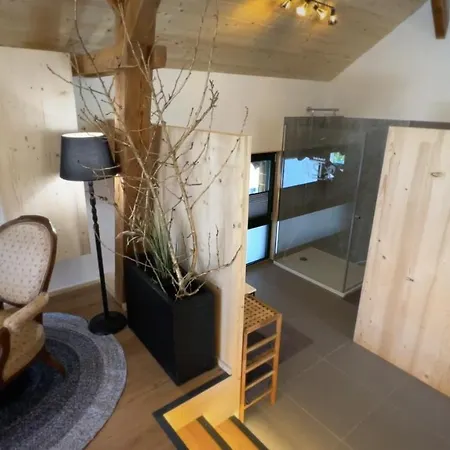 Münsterstadl Apartment Altmünster